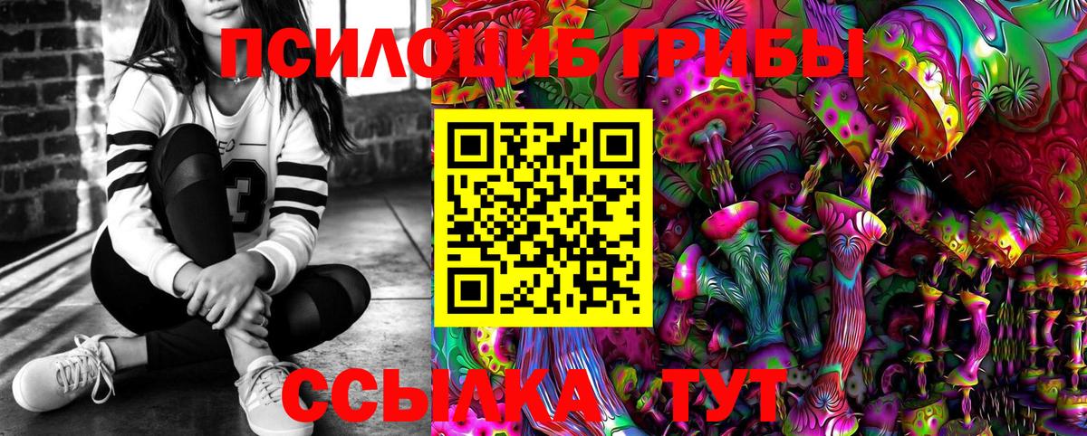 Псилоцибиновые грибы GOLDEN TEACHER Шали