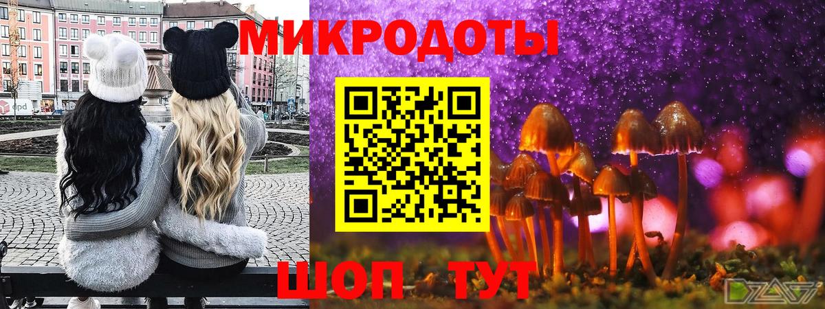 Псилоцибиновые грибы Cubensis  Вход с VPN  Шали 
